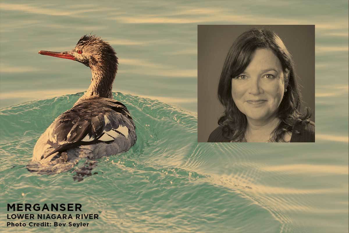 Q & A: Jennifer Fee from BN Waterkeeper